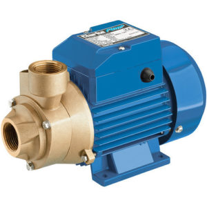 CEB103 1 230V Centrifugal Brass Body Water Pump